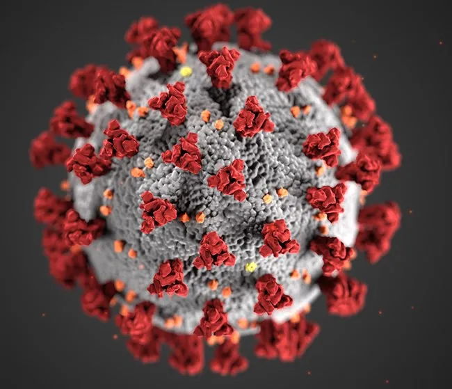 CDC-coronavirus-image-23311-for-web.jpg